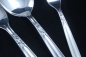 Preview: Ebel Besteck für 6 Personen 30 Teile + 7 Vorleger 120er versilbert
