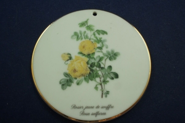Kenzan Porzellan 6 Untersetzer Rose mit Goldrand Japan