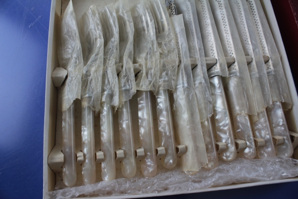 Firth Staybrith Fischbesteck Edelstahl + Perlmutt Dekor 6 Personen England